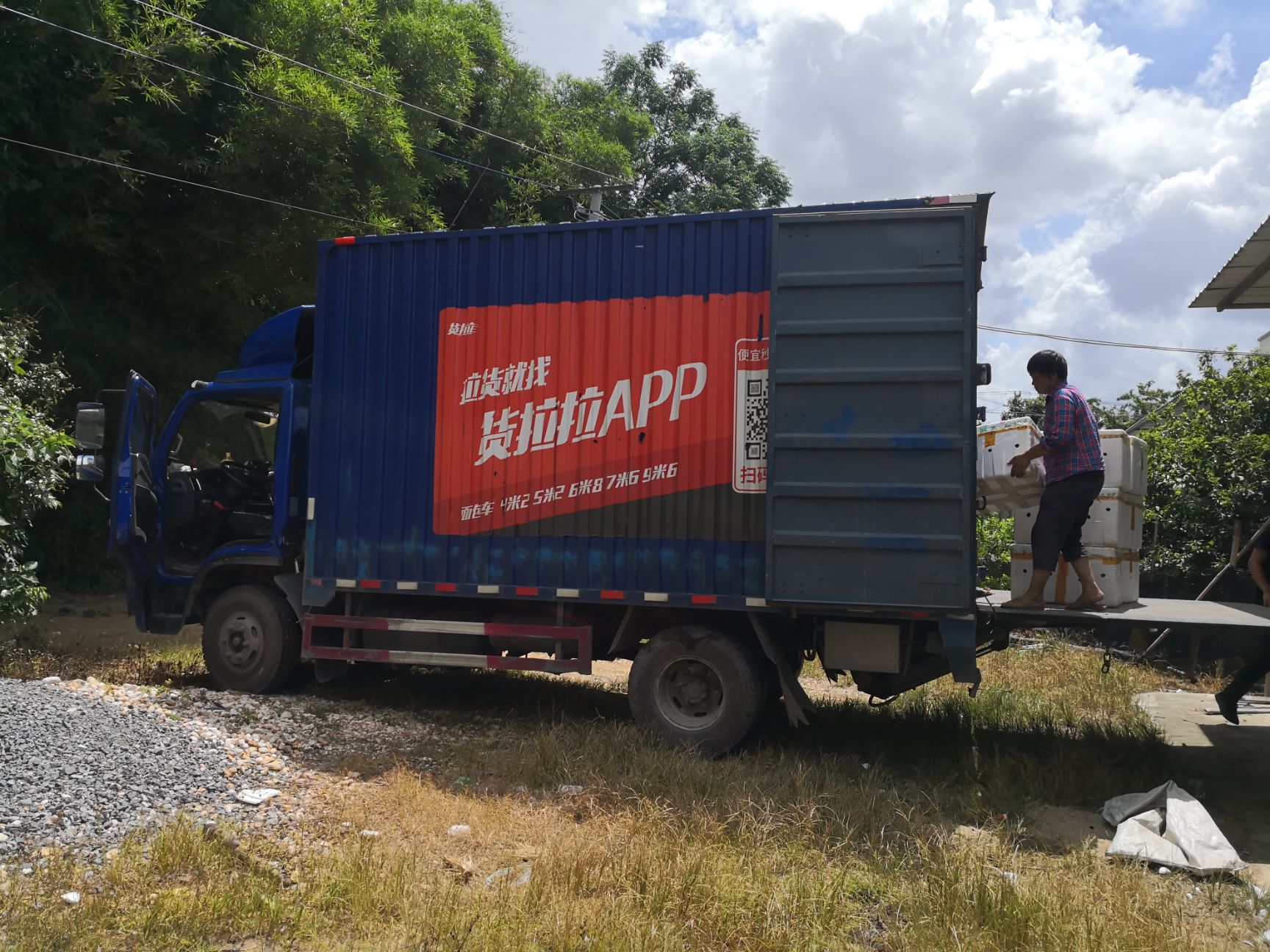 塔西提无籽青柠檬，维c含量很高