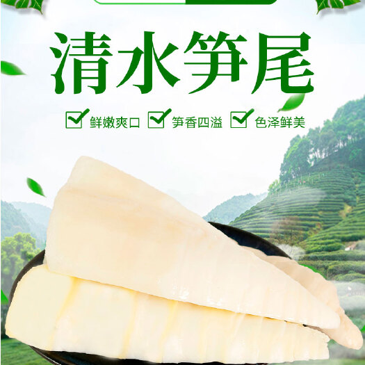 南靖县嫩笋尖竹笋小竹笋冬笋