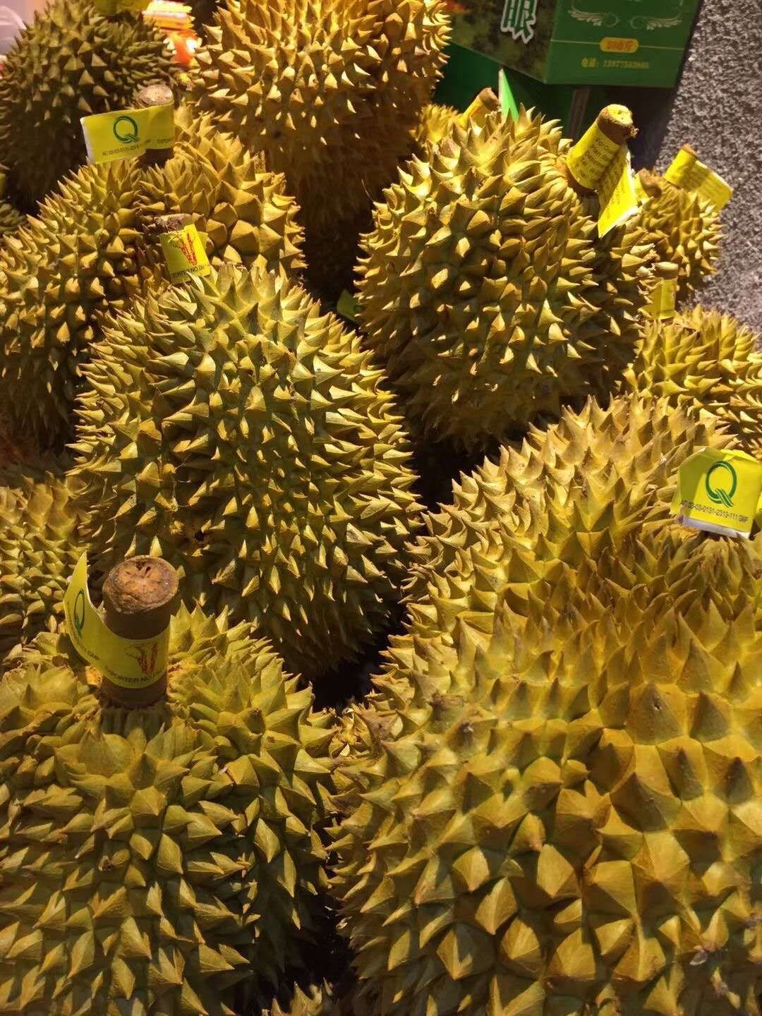 金枕榴莲，34斤净重，有需要的抓紧联系我