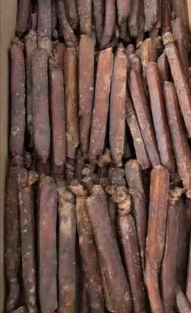 白参 人參产值长白山