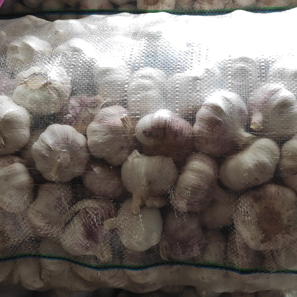 红皮蒜  电商直供，代发国内外市场，保质保量一吨起批