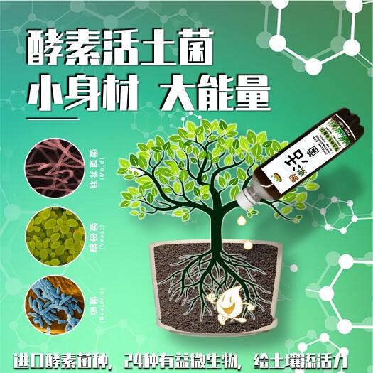 交口县微生物有机肥  果树专用酵素生物有机肥 菌种活力强，施入土壤快速繁殖