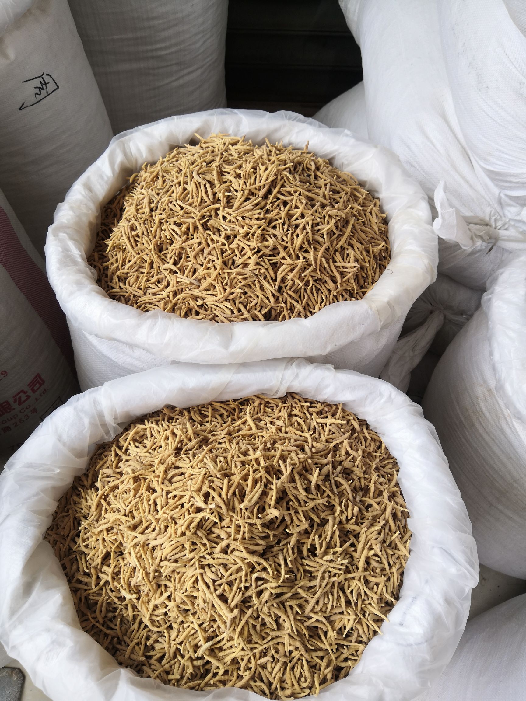 无硫 贵州 太子参 新货 批发各种 中药材 大货批发中