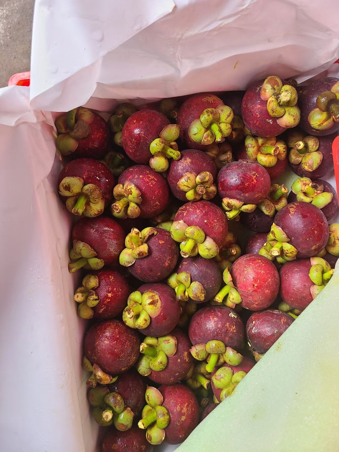 花竹果  泰国山竹油竹麻竹半油砂，4-5-6A产地直采代发全