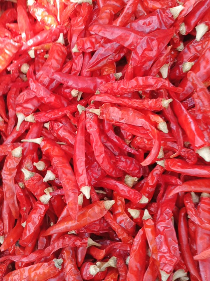 艳红干辣椒品质干度好。