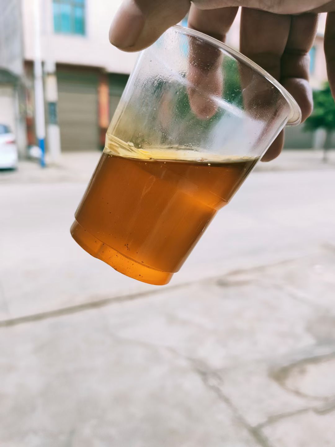 大量供应云南罗平油菜籽，出油35，芥酸30，油色纯正。