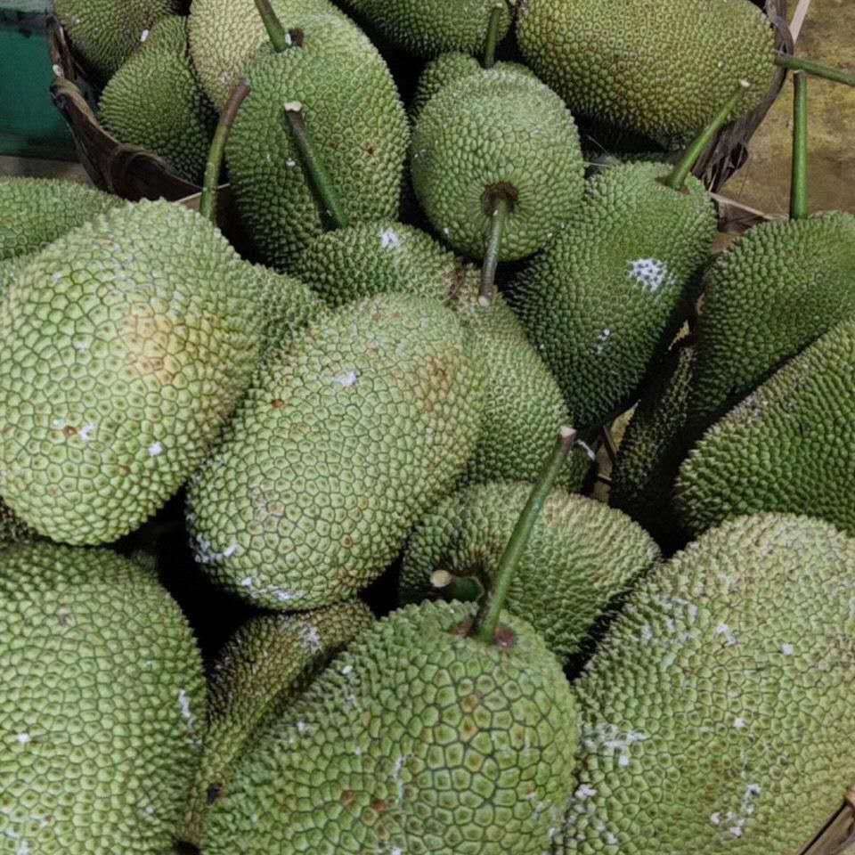 尖蜜拉  榴莲蜜，甜糯可口，有需要的抓紧联系我