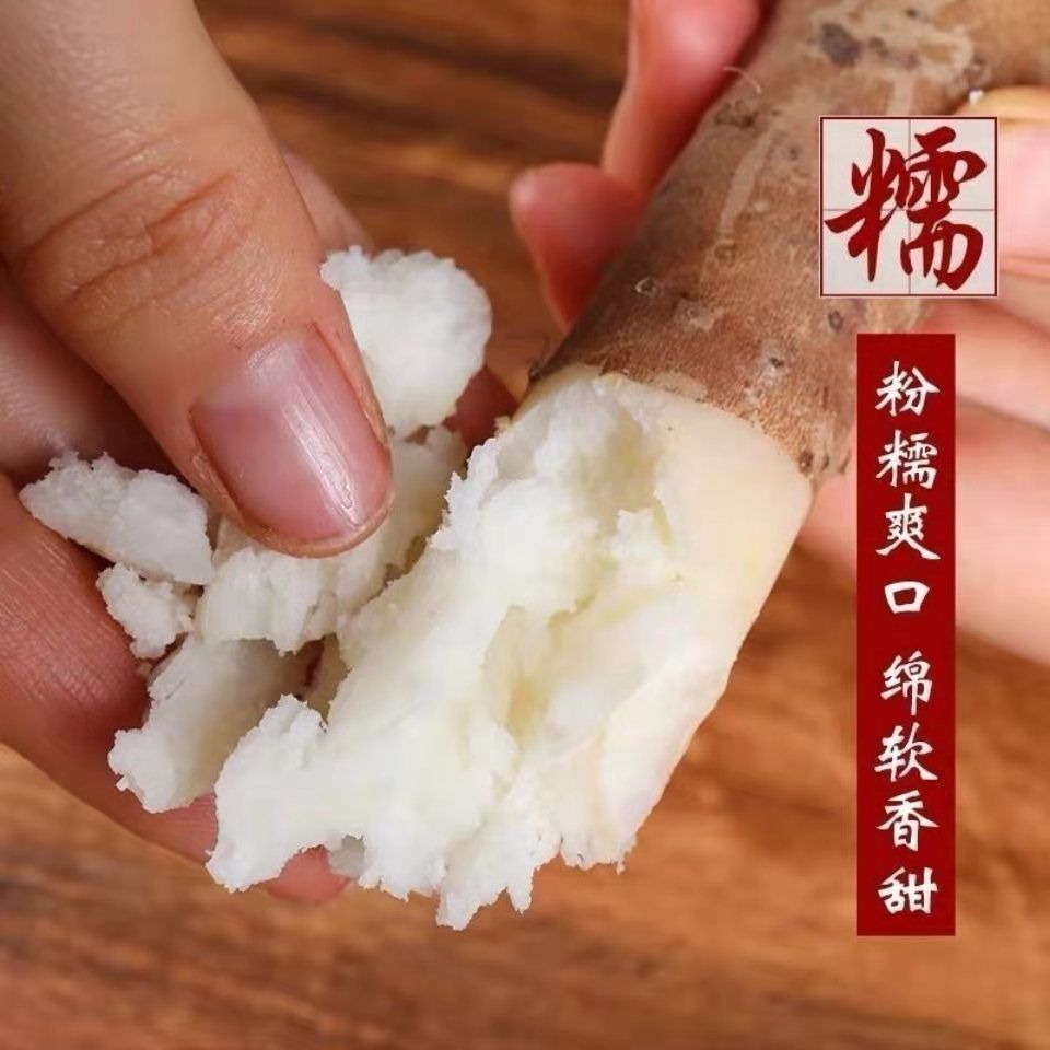 【现挖】铁棍淮山药怀山粉糯垆土铁棍小白嘴山药新鲜铁杆山药