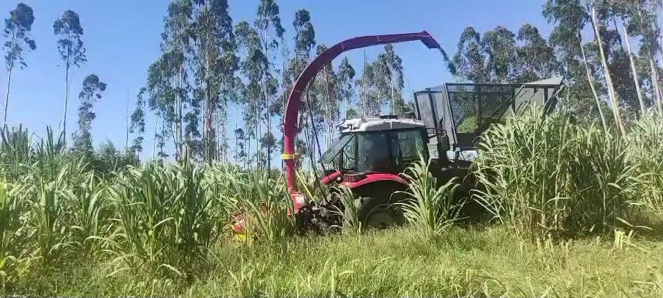 青贮机  青储机拖拉机青储机履带青储机自走走式青储饲料收获机按需定制