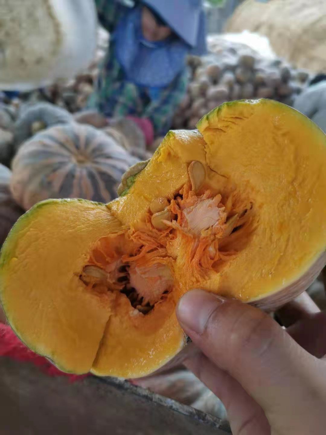  盘龙202南瓜