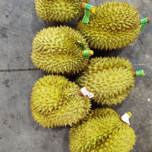 凭祥市金枕榴莲  金枕