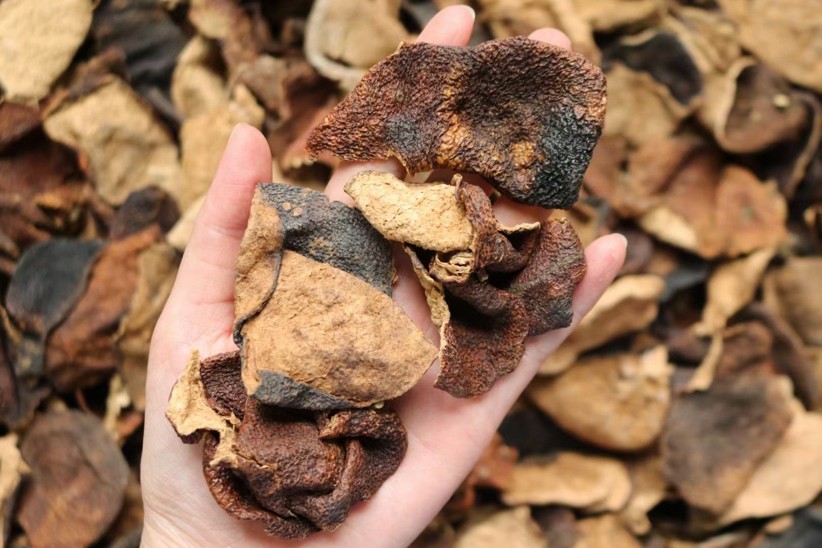 一德路新会陈皮干单片橘子皮桔子皮