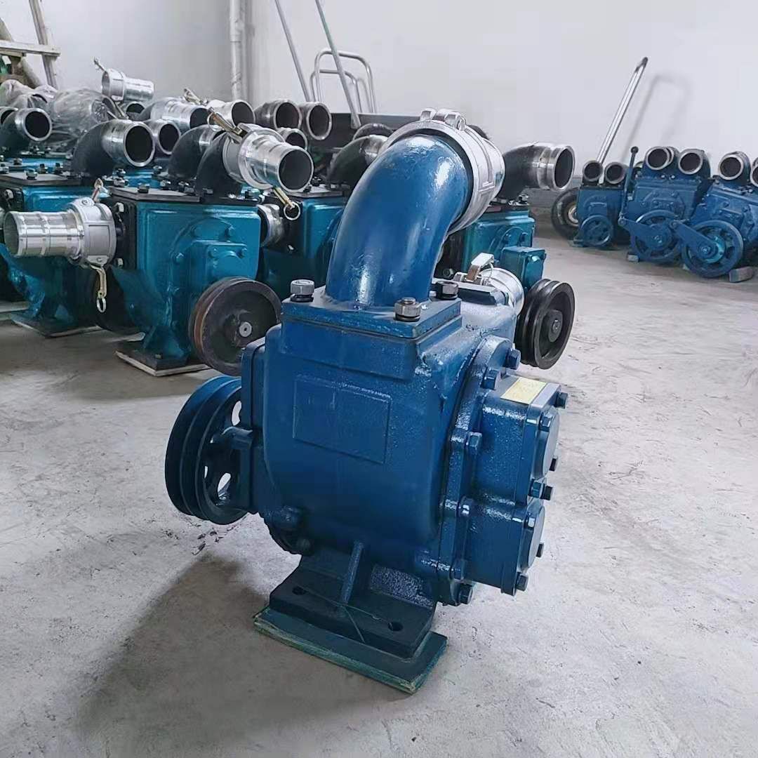 鸡粪猪粪鸭粪直吸抽粪泵浇地抽水专用直吸泵型号齐全操作简单