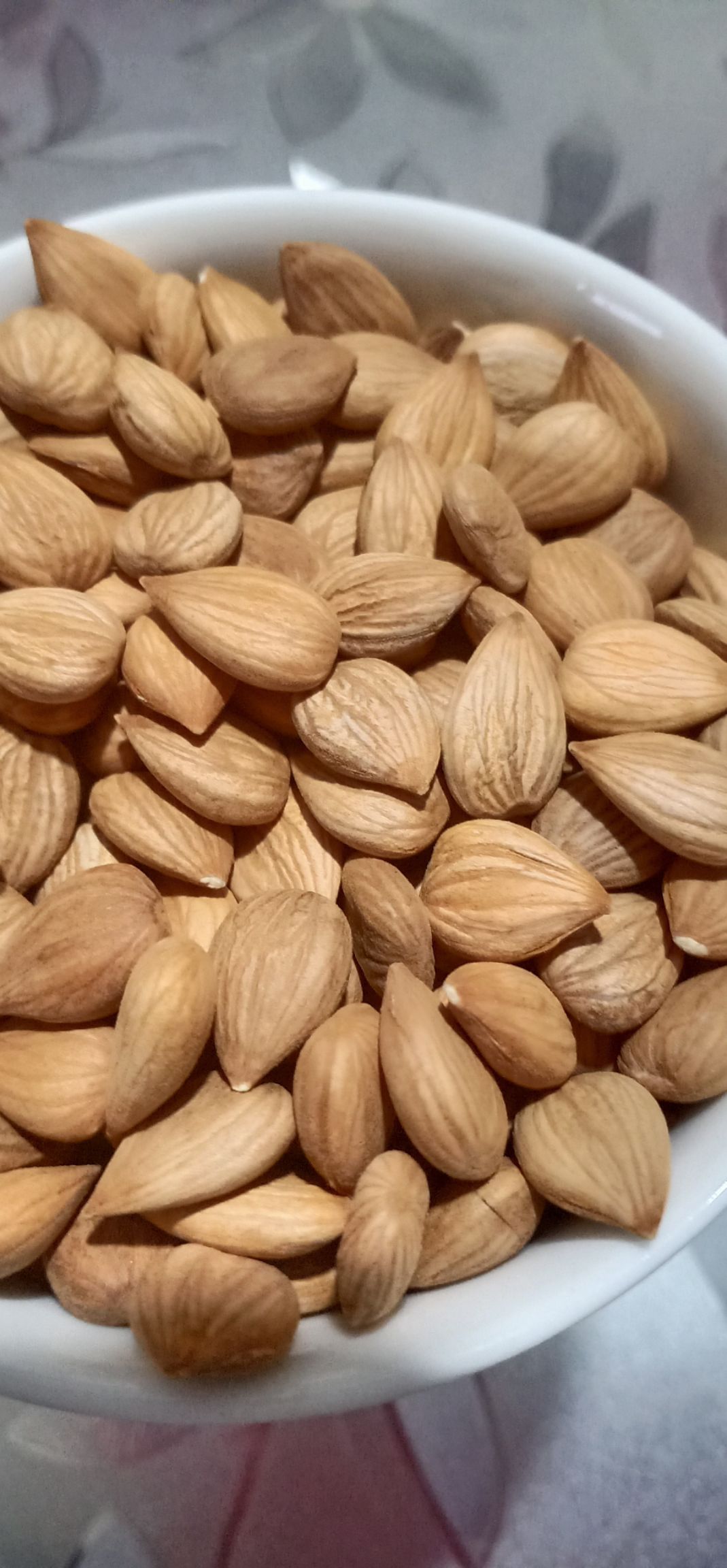 甜杏仁  大颗粒优一杏仁酥酥脆脆粒粒饱满！