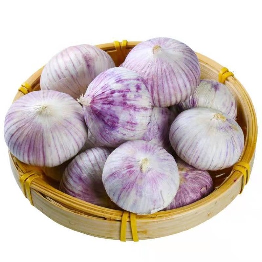 莘县紫皮独头蒜干蒜