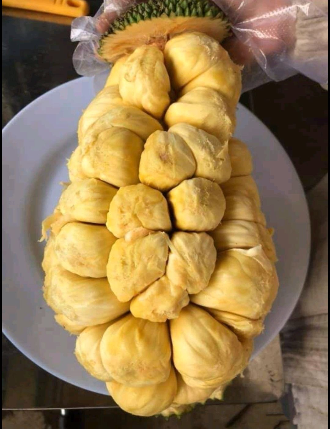 尖蜜拉  榴莲蜜，甜糯可口，有需要的抓紧联系我