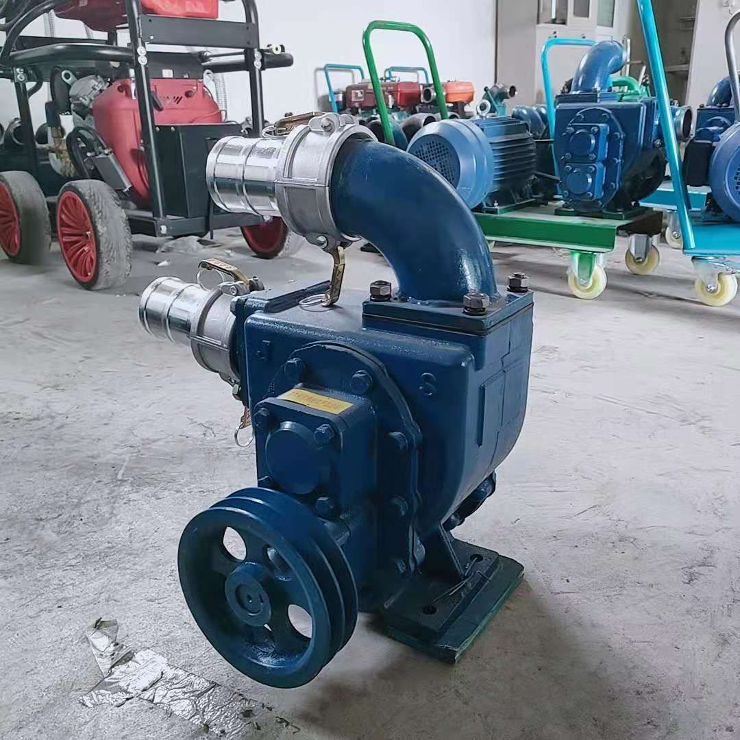 鸡粪猪粪鸭粪直吸抽粪泵浇地抽水专用直吸泵型号齐全操作简单