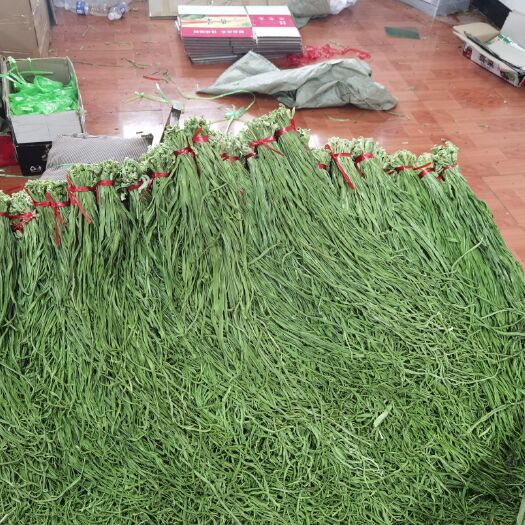 邳州市 精品贡菜