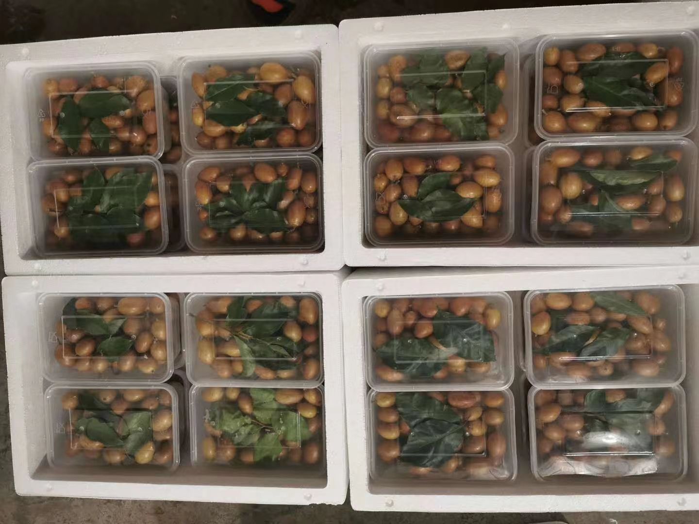 黄皮果 正宗鸡心黄皮