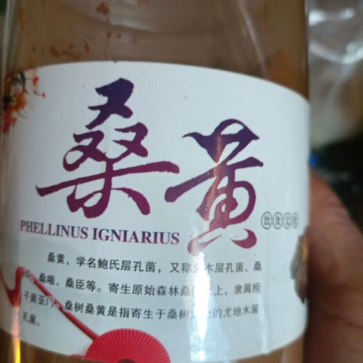 西峡县干桑黄打粉了