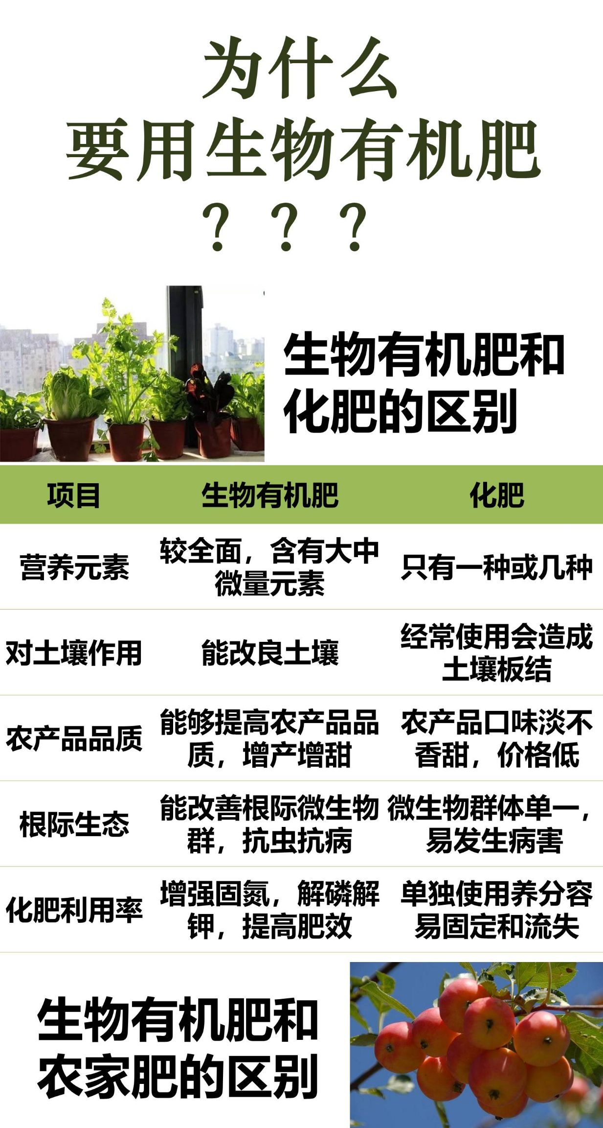 微生物有机肥  果树专用酵素生物有机肥 菌种活力强，施入土壤快速繁殖