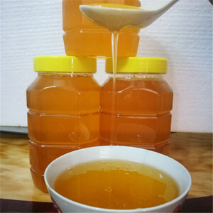 修水县专业养蜂人正宗土蜂蜜 百花蜜 真蜂蜜 自产自销瓶装2斤 包邮