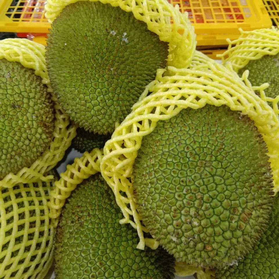 尖蜜拉  榴莲蜜，甜糯可口，有需要的抓紧联系我