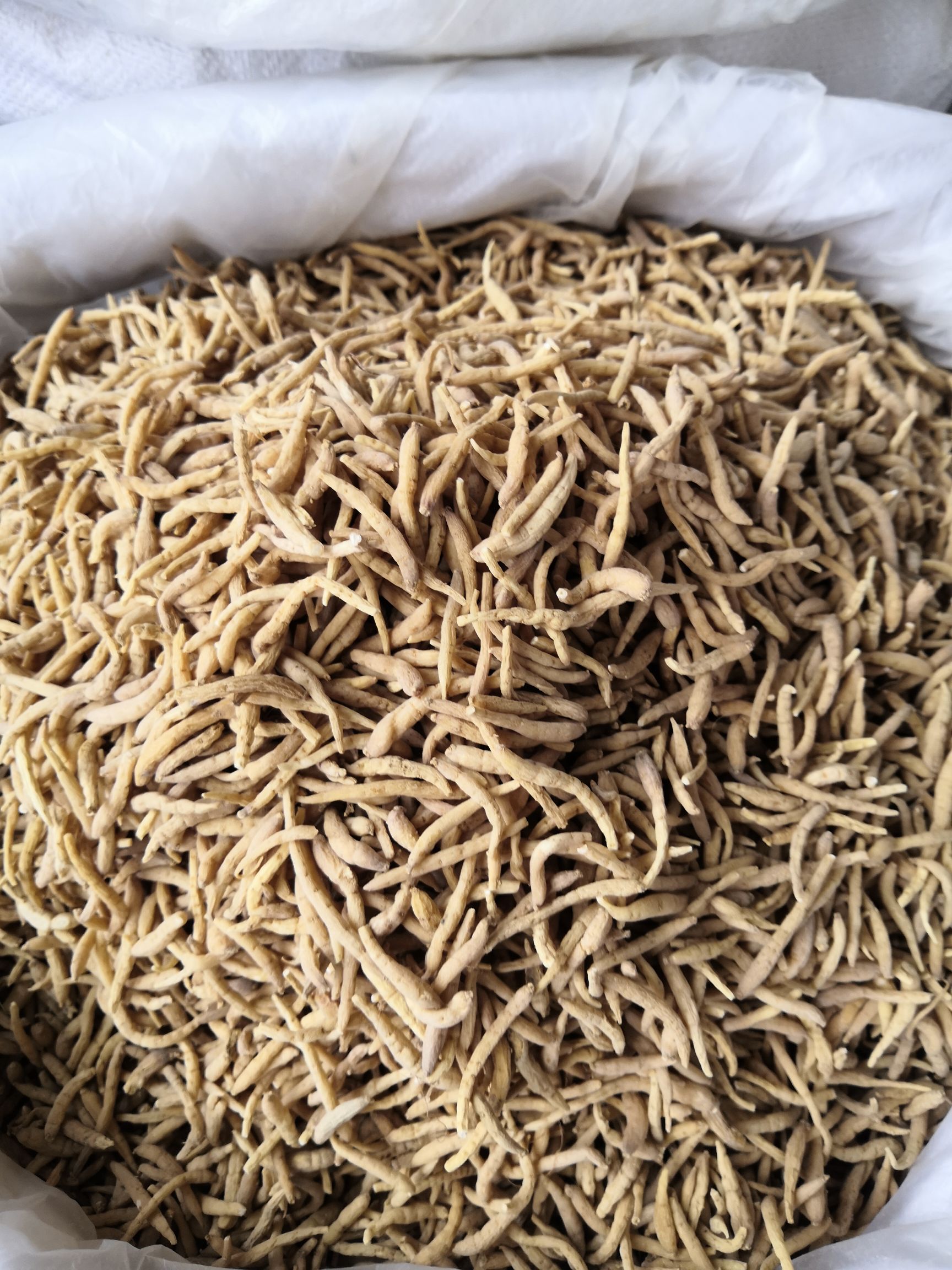 无硫 贵州 太子参 新货 批发各种 中药材 大货批发中