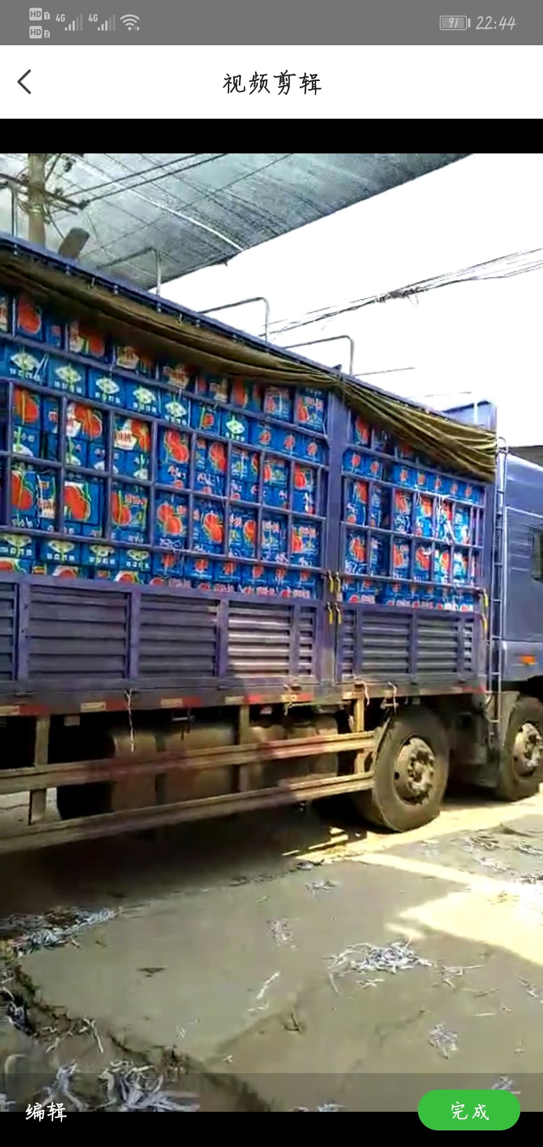 48油桃 五五以上四八