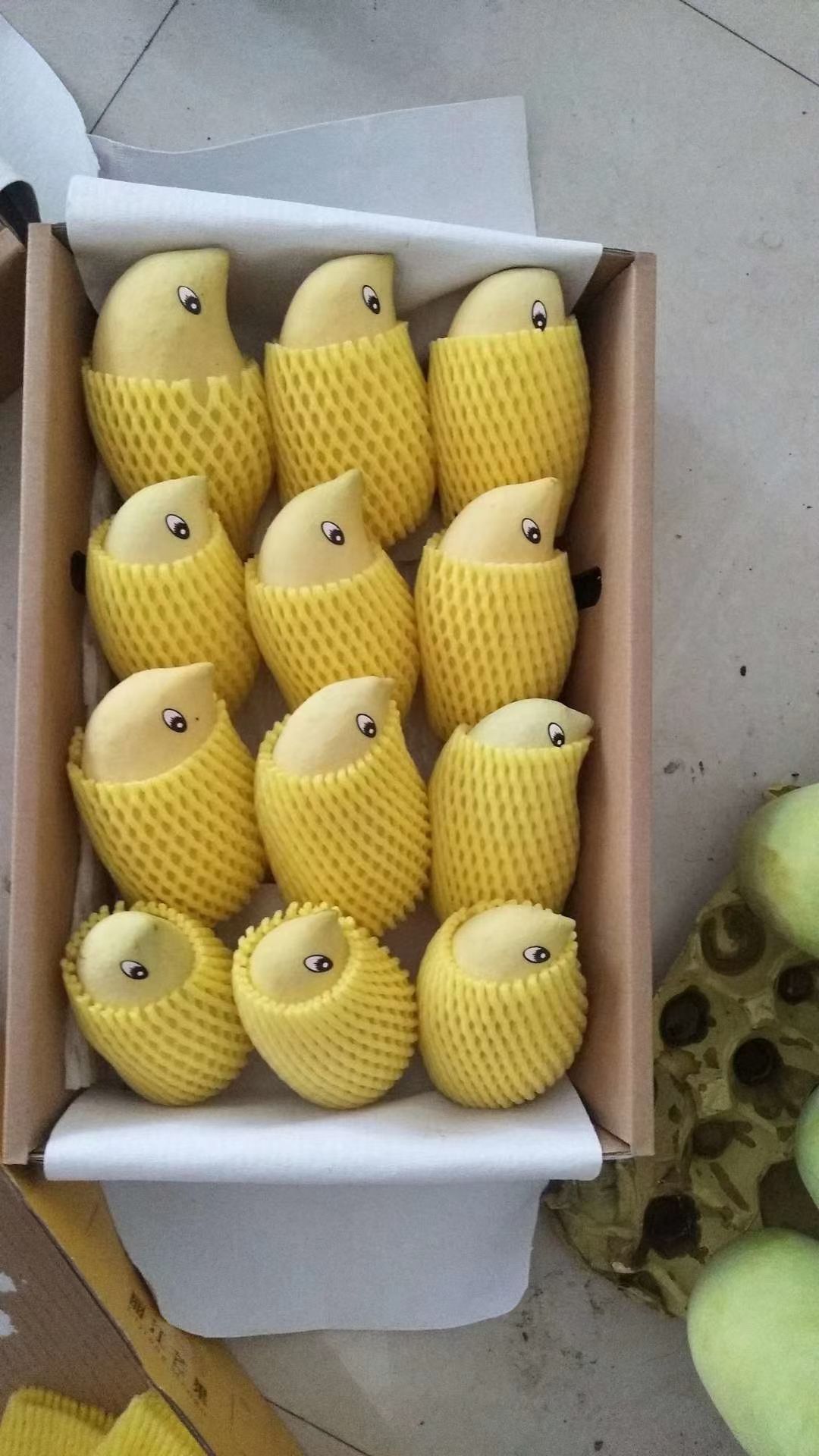 云南高原椰香贵妃金煌鹰嘴凯特圣心品种齐全一件代发