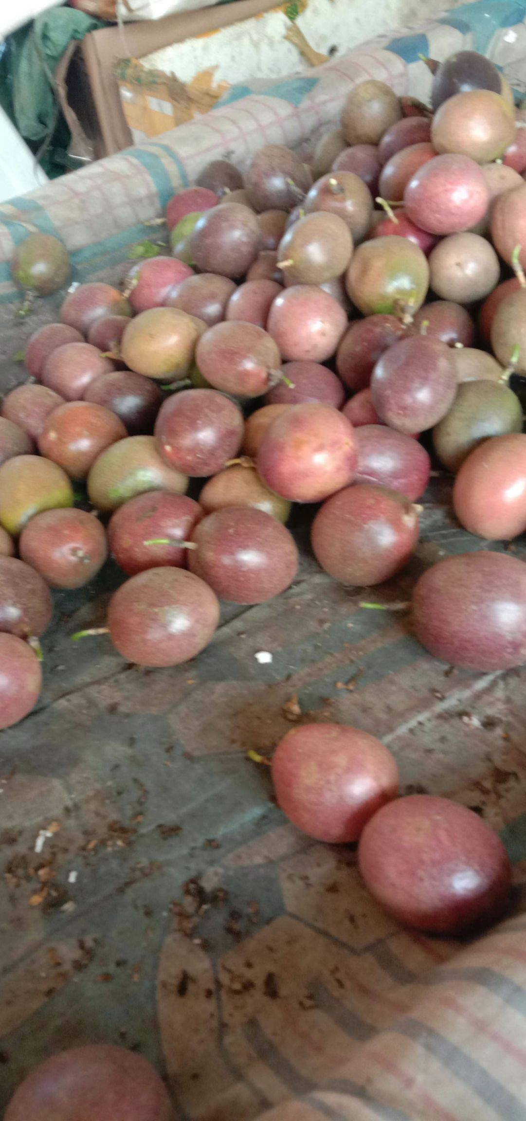 云南高山百香果电商,市场