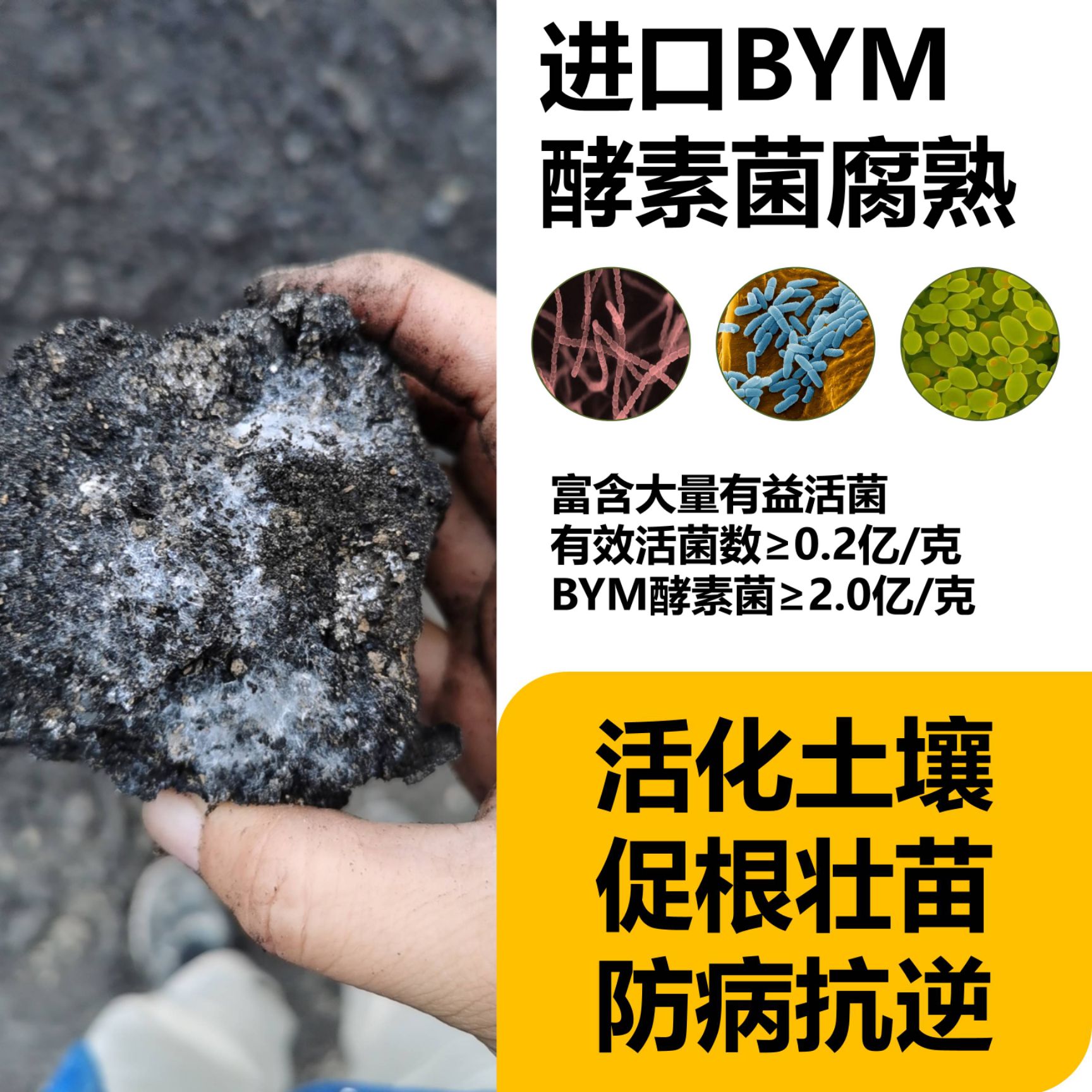 微生物有机肥  青贮玉米高磷腐植酸颗粒有机肥 青玉米杆粗杆长抗倒伏