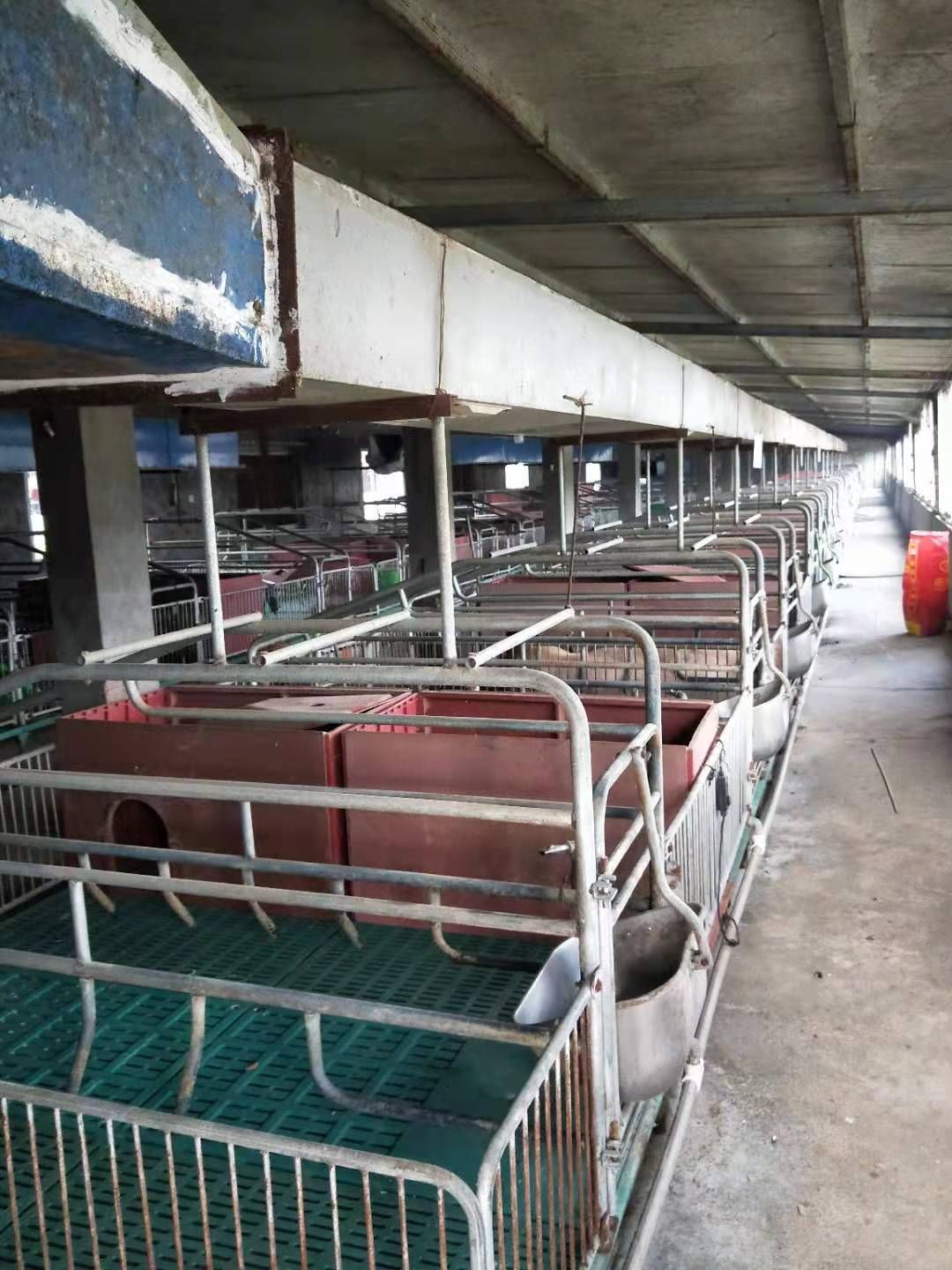 中大型畜牧养殖基地，设备齐全，厂房先进，另外出售山林500亩