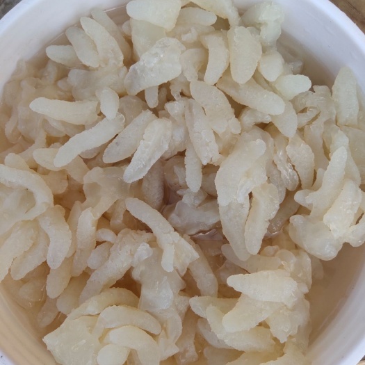 海蜇头小八爪到货了，中货和小货