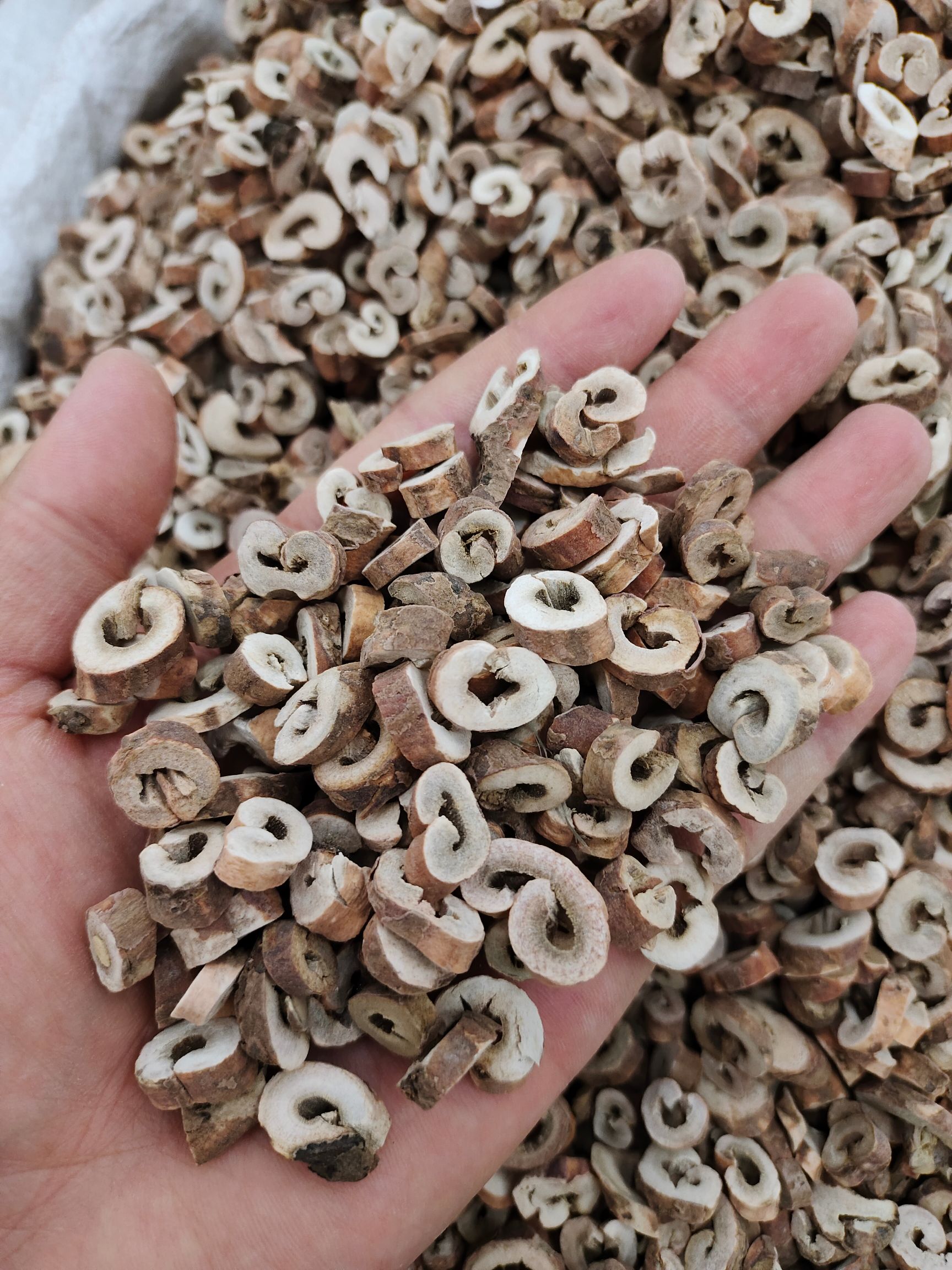 白丹皮公斤 抽芯去皮牡丹皮 精选牡丹皮 产地直供丹皮