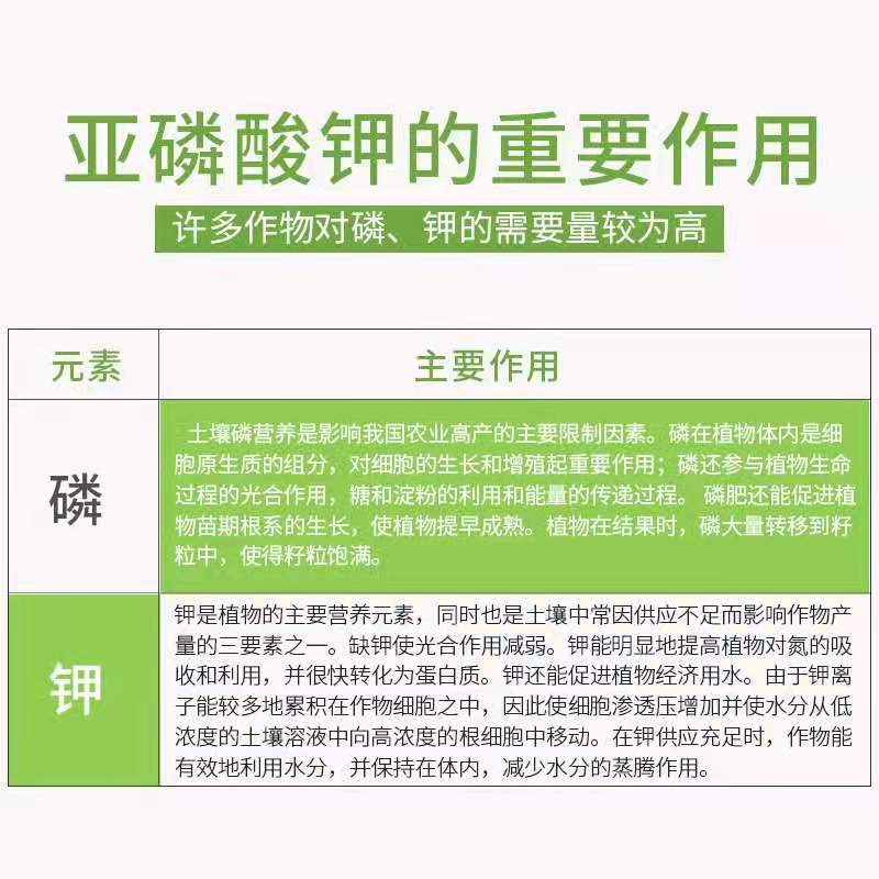 叶面肥  亚磷酸钾 1000毫升