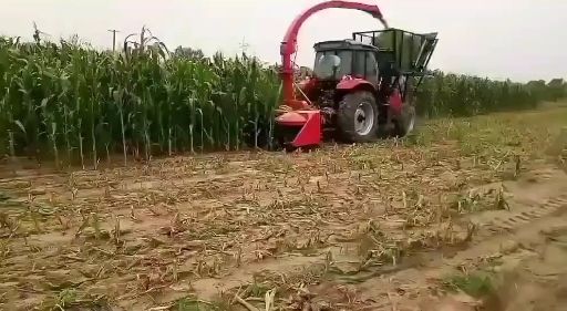 青贮机  青储机拖拉机青储机履带青储机自走走式青储饲料收获机按需定制