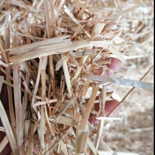 正阳县2021精品柔丝麦秸，花生秧。草粉，叶粉，颗粒，都是真实图片