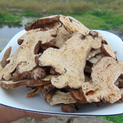 生白术  两年生  无硫 各种规格 湖北产