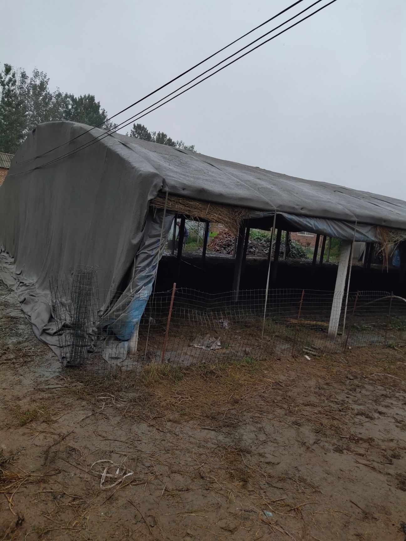 鸡鸭鹅 养殖大棚建造