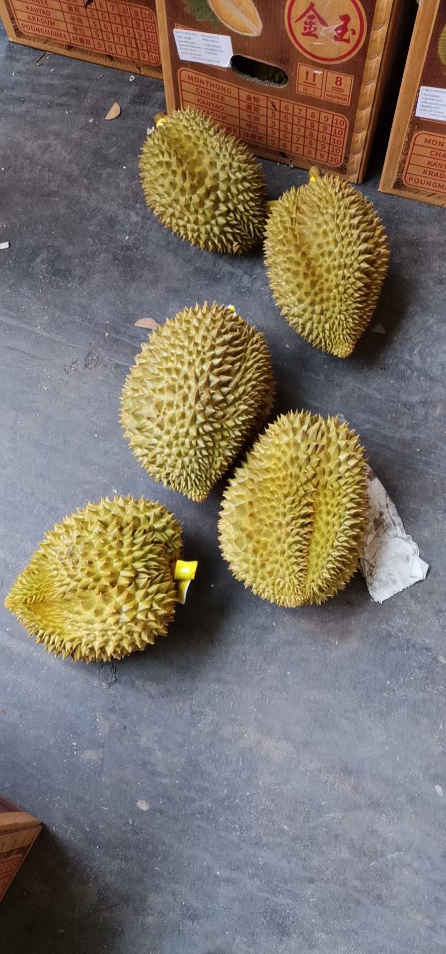 金枕榴莲，34斤净重，有需要的抓紧联系我