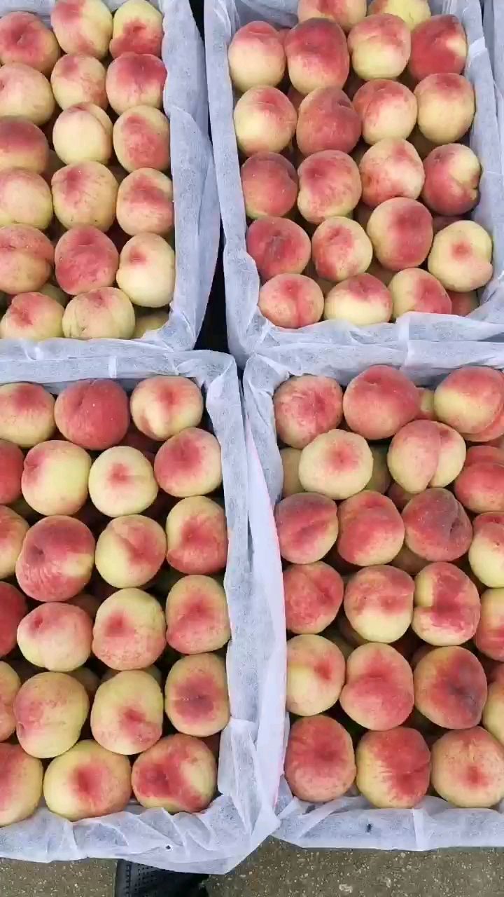 美脆桃  美脆  大久宝，日本大红