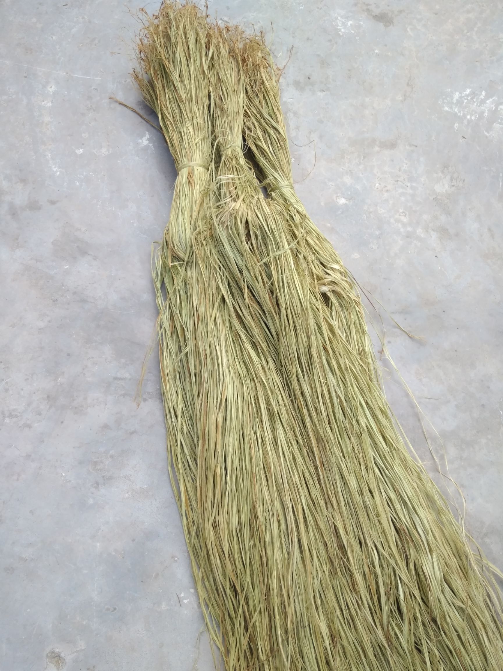 苎麻  手工苎麻  优质手工苎麻