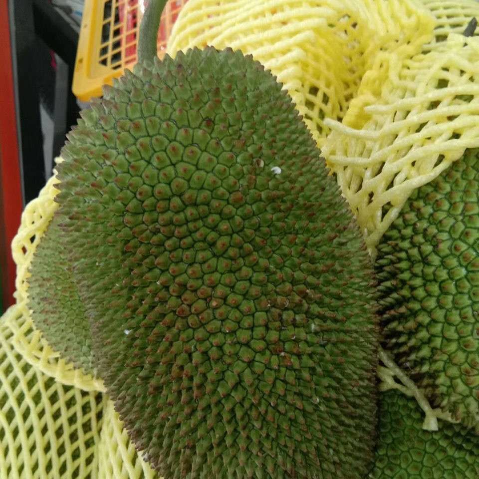 尖蜜拉  榴莲蜜，甜糯可口，有需要的抓紧联系我