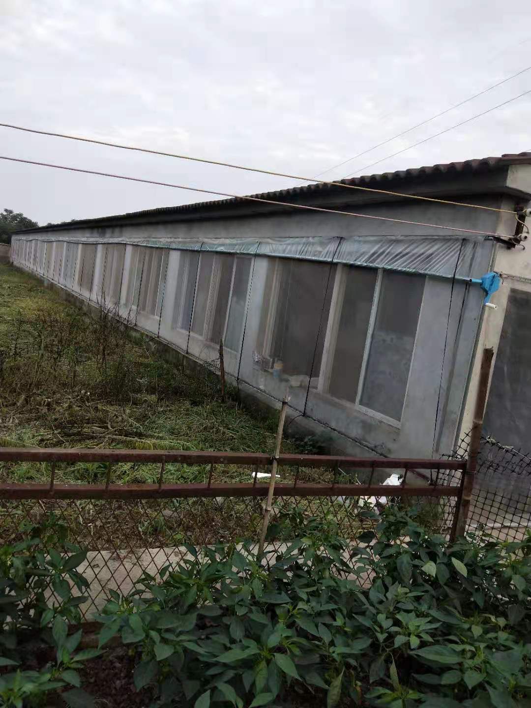 中大型畜牧养殖基地，设备齐全，厂房先进，另外出售山林500亩