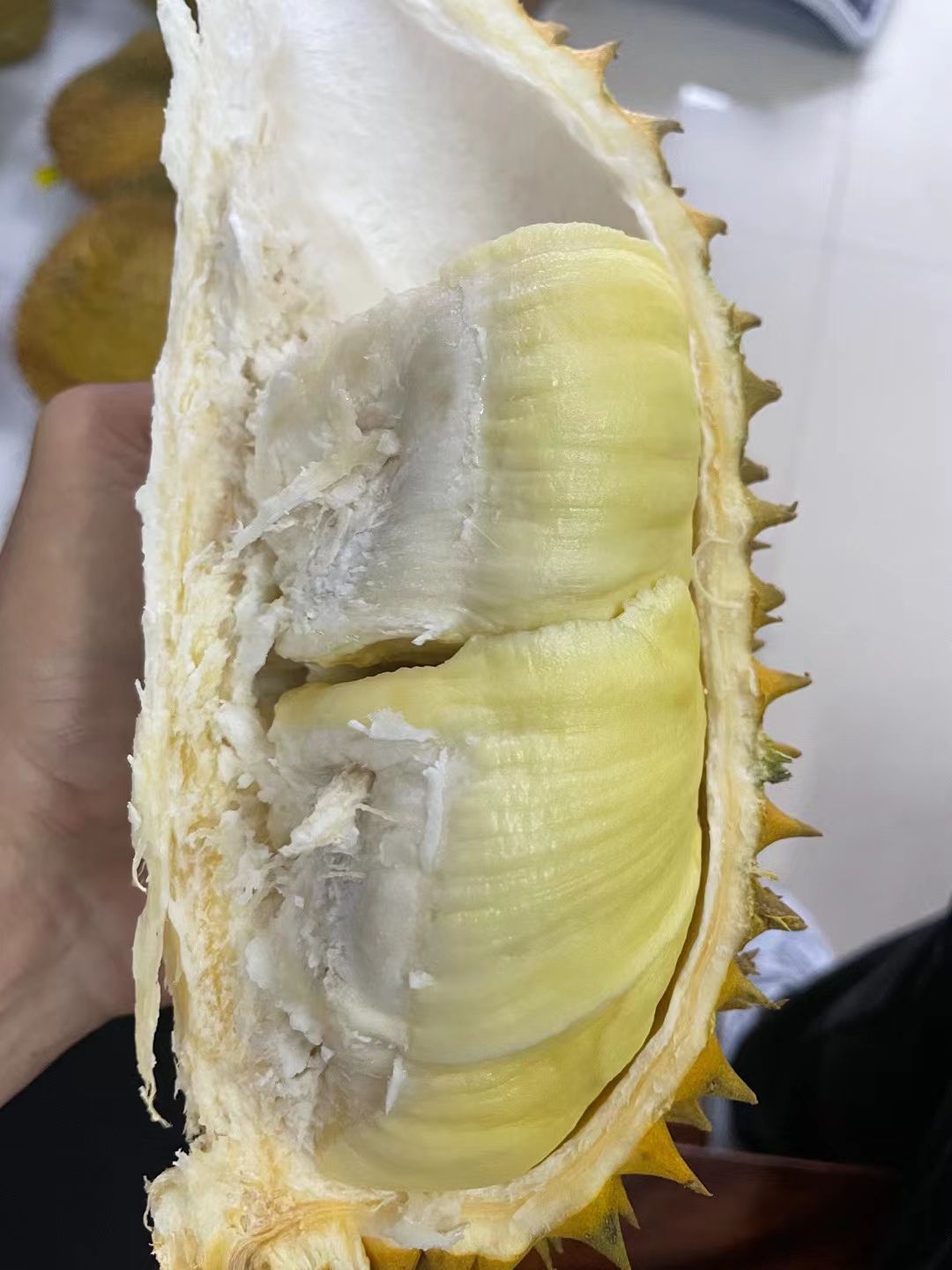 金枕榴莲  金枕