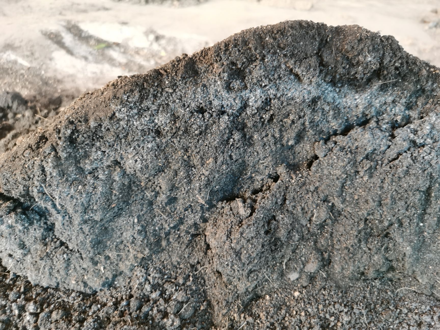 种植EM菌液  复合酵素菌剂 瓜甜果香 日本新西兰先进微生物