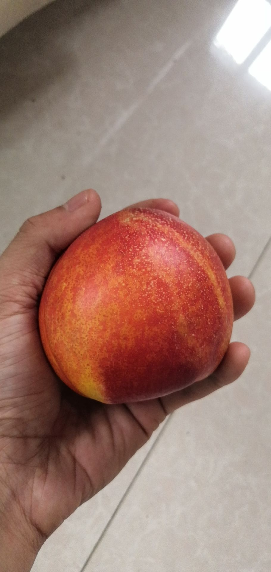 48油桃 五五以上四八