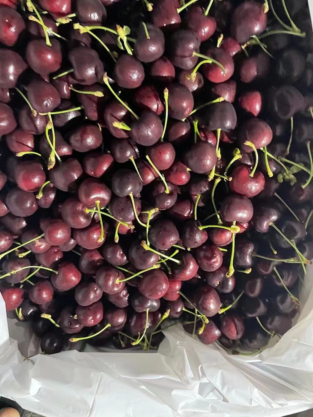 黑珍珠樱桃  美国车厘子，有需要的抓紧联系我们，价格便宜
