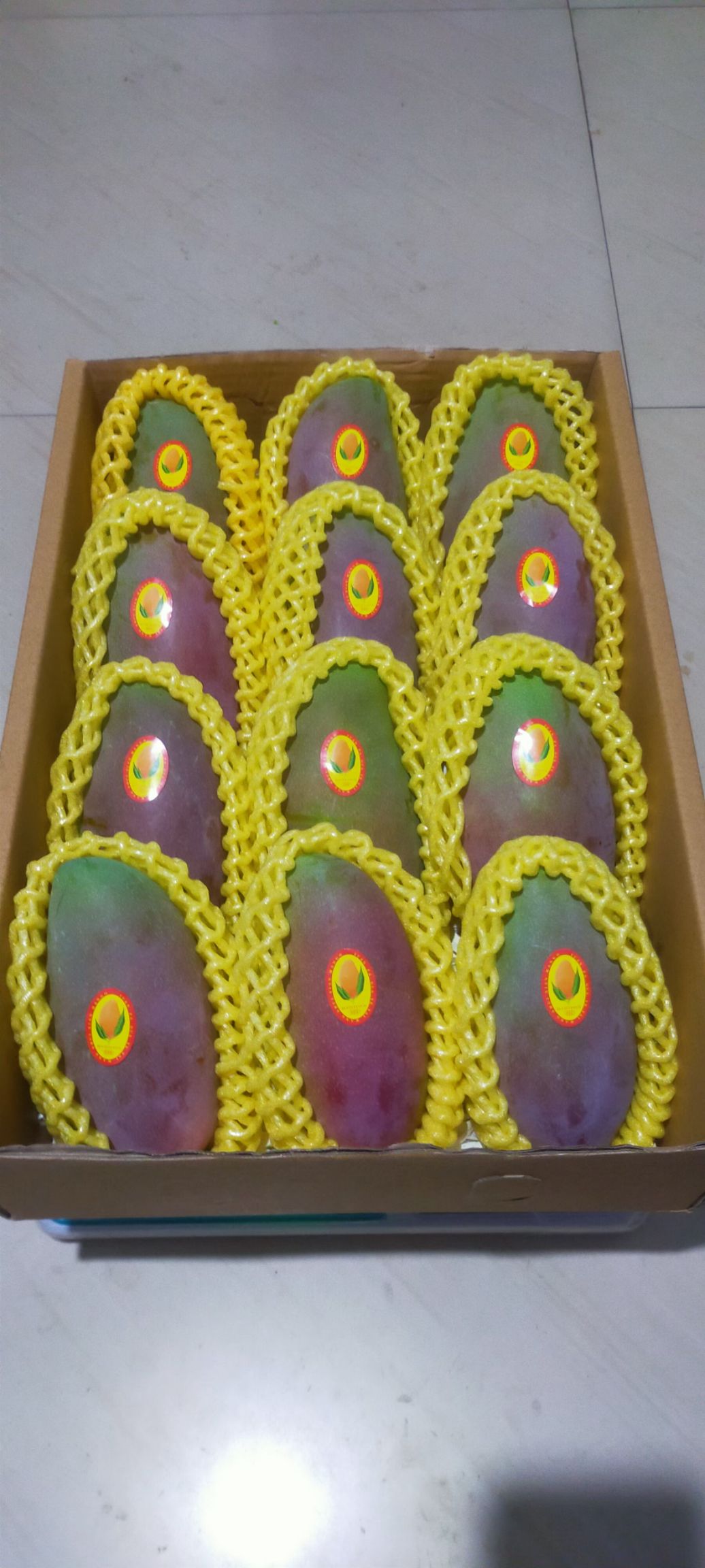 云南高原椰香贵妃金煌鹰嘴凯特圣心品种齐全一件代发